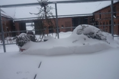 hof_im_winter